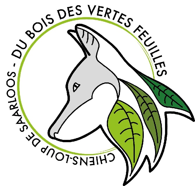 Du Bois Des Vertes Feuilles - Nouveau logo pour l'élevage